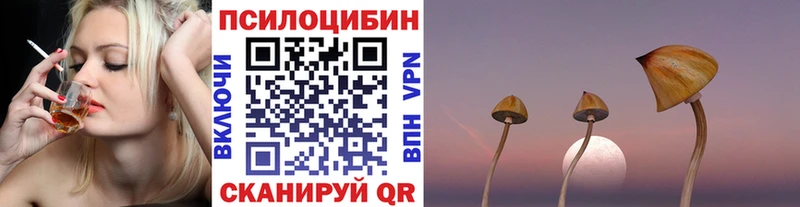 купить   Таштагол  Галлюциногенные грибы Psilocybine cubensis 